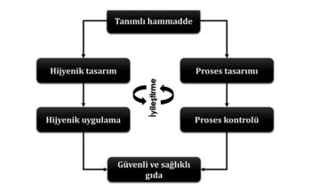 Hygienic-Design-Criteria-in-Food-Production-with-the-European-Hygienic-Engineering-and-Design-Group-(EHEDG)-Approach