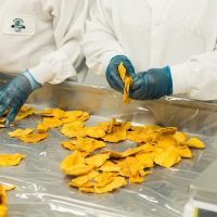 _0001_Processing _ Manufacturing Facilities