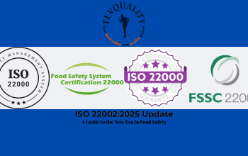 ISO 220022025 Update